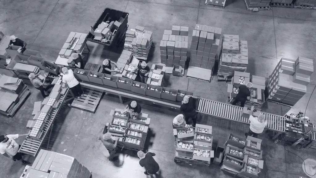 A packing floor seen from above, boxes moving along conveyors